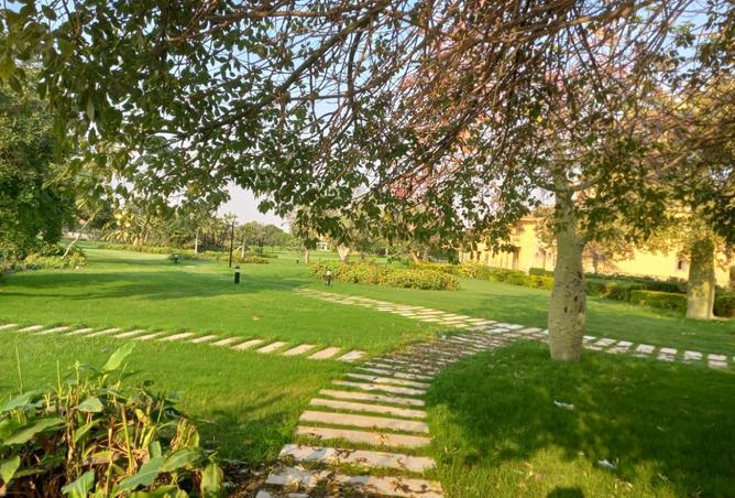 8553985 - صورة العقار 2