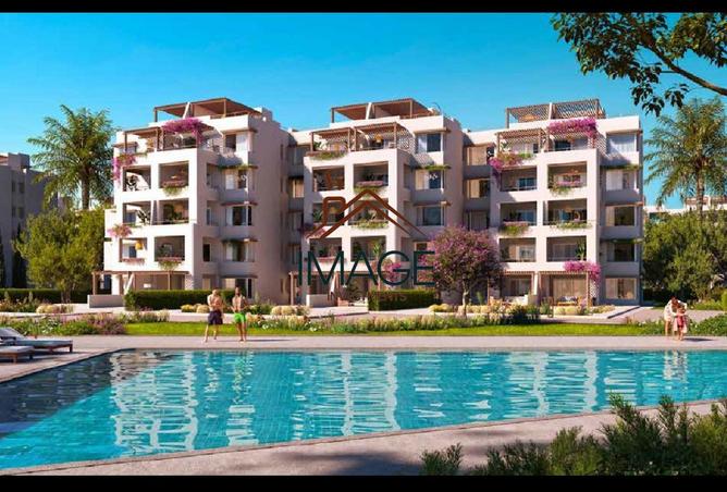 8347579 - Property Image 3