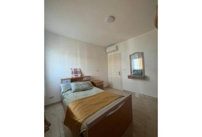 8099438 - Property Image 3