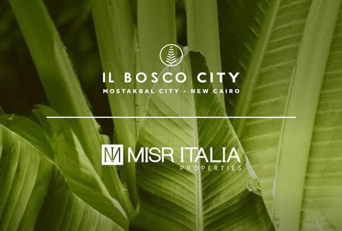 8258425 - Property Image 2