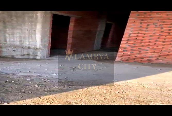 8486392 - Property Image 3