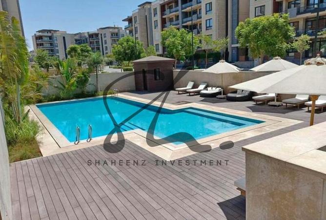8061250 - Property Image 3