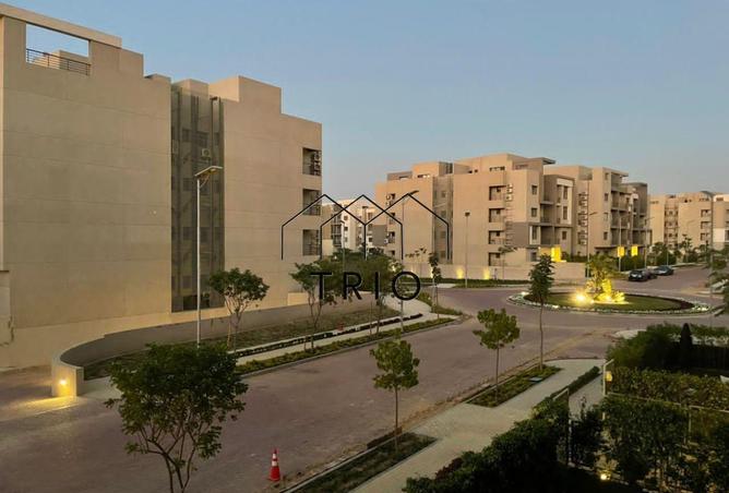 8362235 - Property Image 3