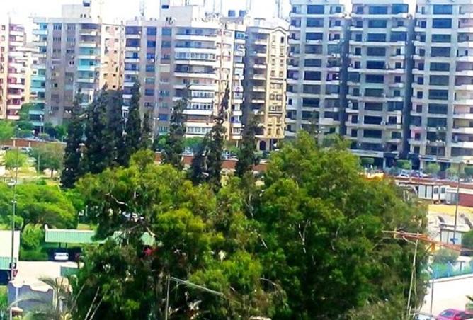 8331451 - Property Image 2