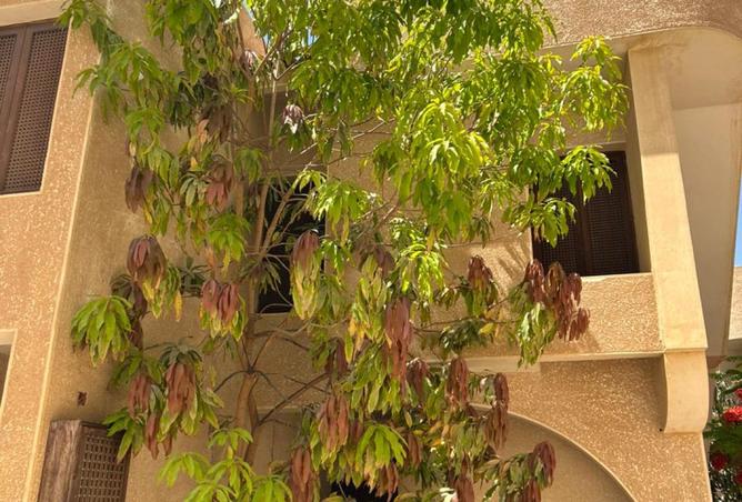 8276709 - Property Image 3