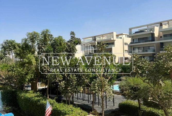 8205257 - Property Image 3