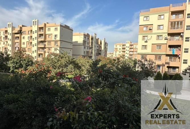 8561387 - Property Image 3