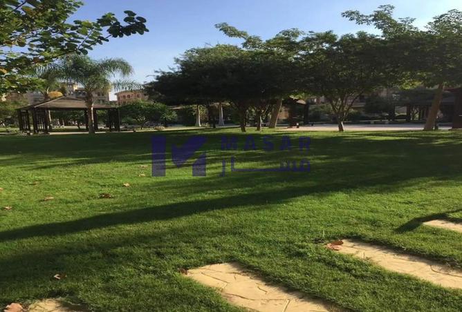 7917166 - Property Image 3