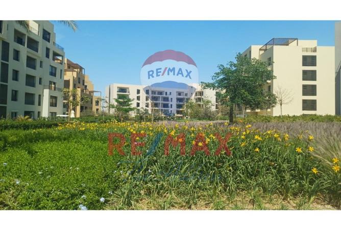 8018005 - صورة العقار 3