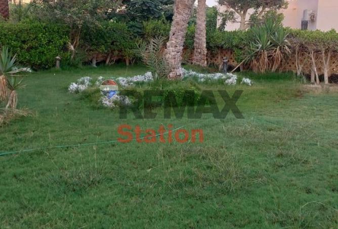 8436505 - صورة العقار 3