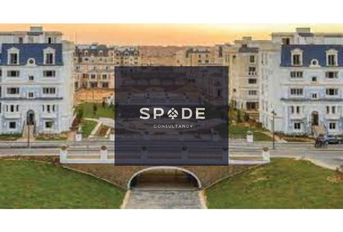 8566851 - Property Image 3