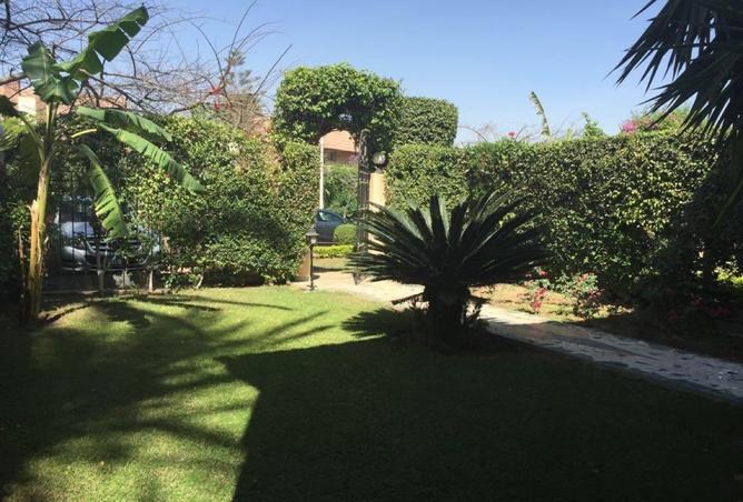 8085219 - الصورة الرئيسية للعقار