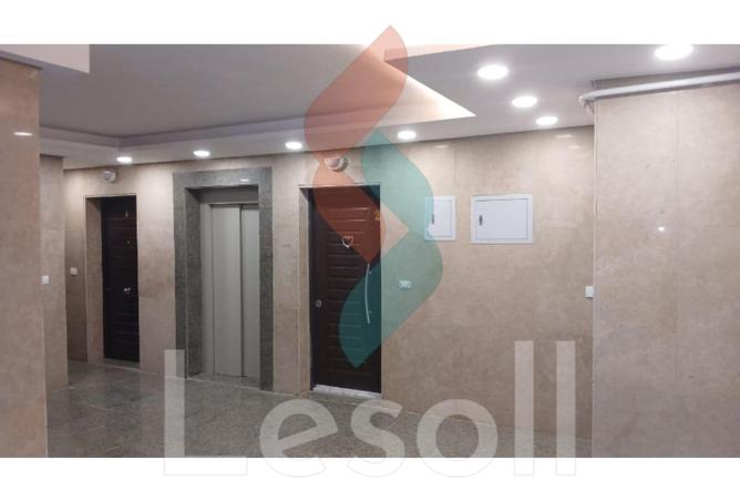8059928 - صورة العقار 3