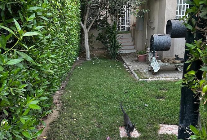 8013035 - Property Image 3