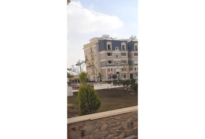 7898700 - Property Image 3