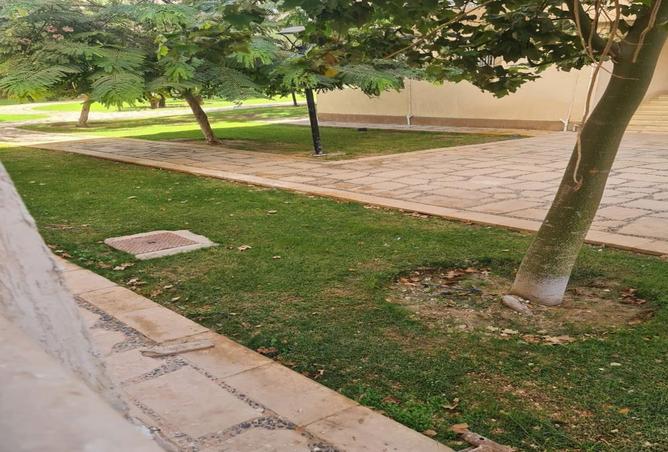 8517029 - صورة العقار 3