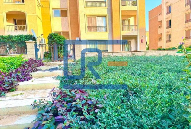 7952167 - الصورة الرئيسية للعقار
