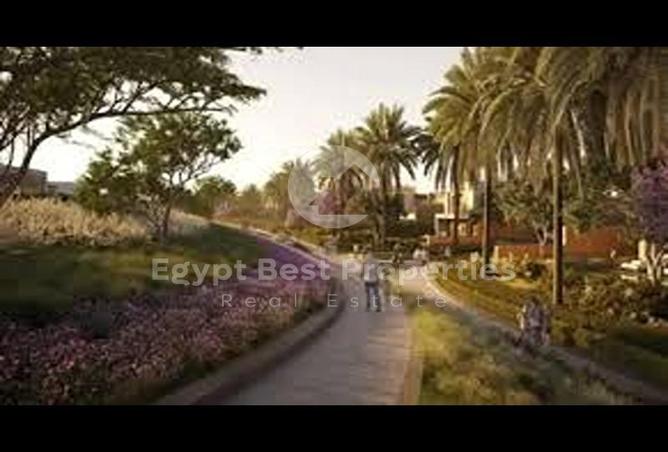 7969029 - صورة العقار 2