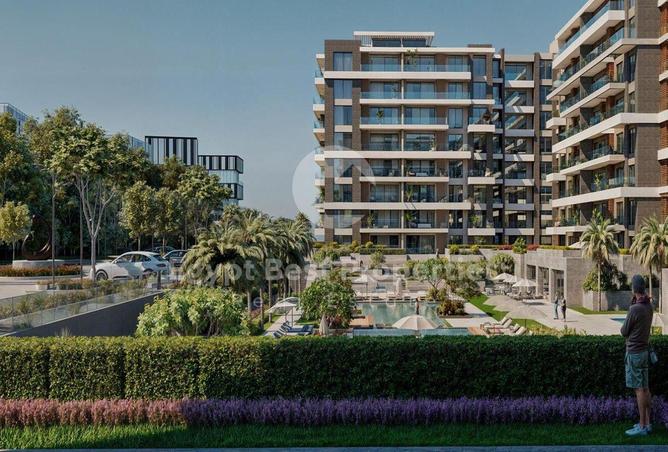 8248577 - Property Image 2