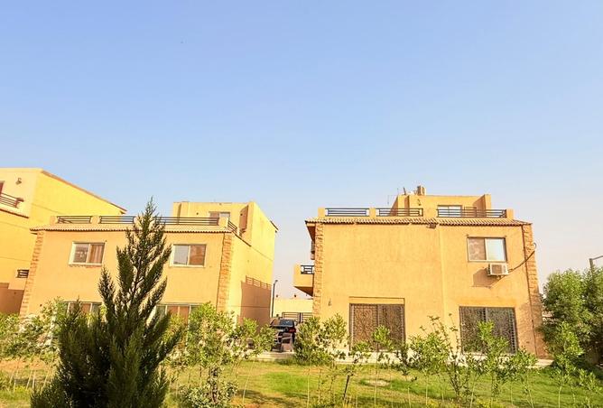 7906800 - صورة العقار 2