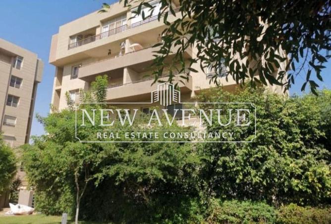 8163389 - Property Image 3