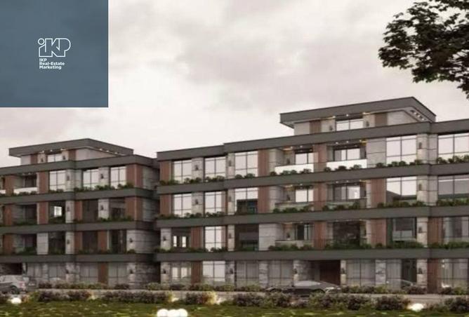 8012379 - Property Image 3