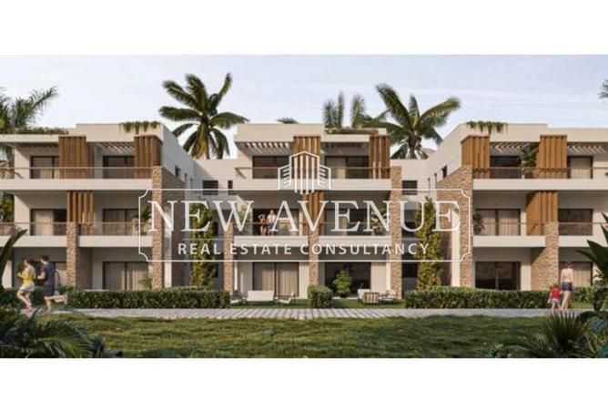 8431232 - Property Image 3