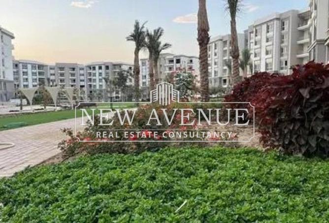 8339250 - صورة العقار 3