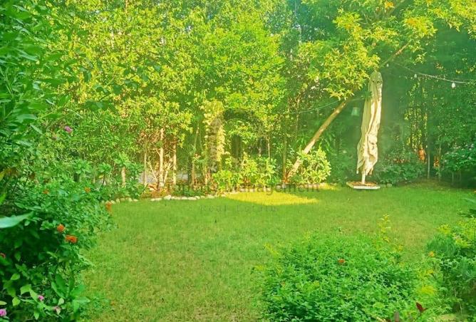 8300999 - صورة العقار 2