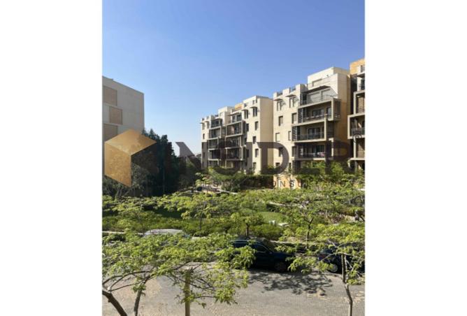 8202203 - صورة العقار 3