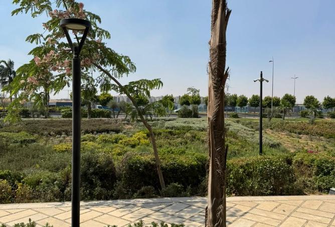 8474216 - الصورة الرئيسية للعقار