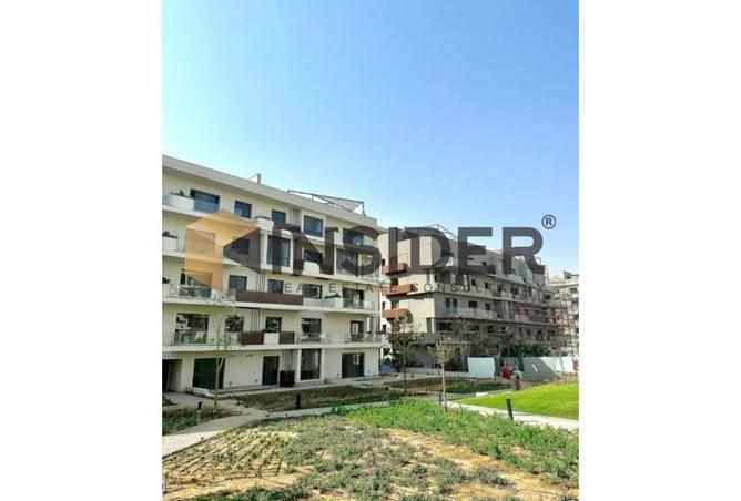 8430151 - Property Image 2