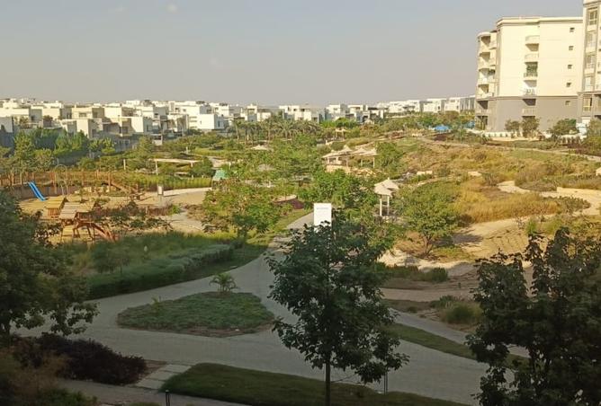 8016888 - صورة العقار 2