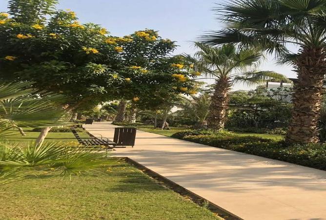 7988187 - صورة العقار 3