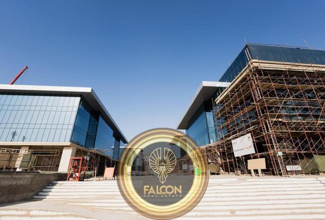 8439131 - Property Image 3