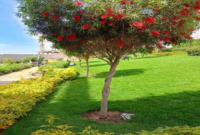 8305089 - صورة العقار 2