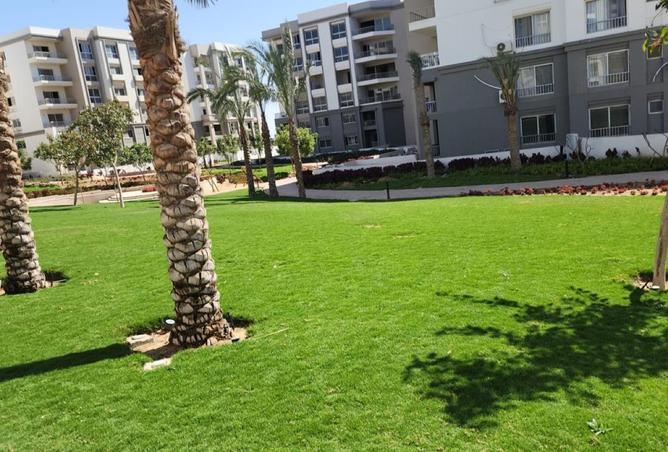 8246116 - صورة العقار 2