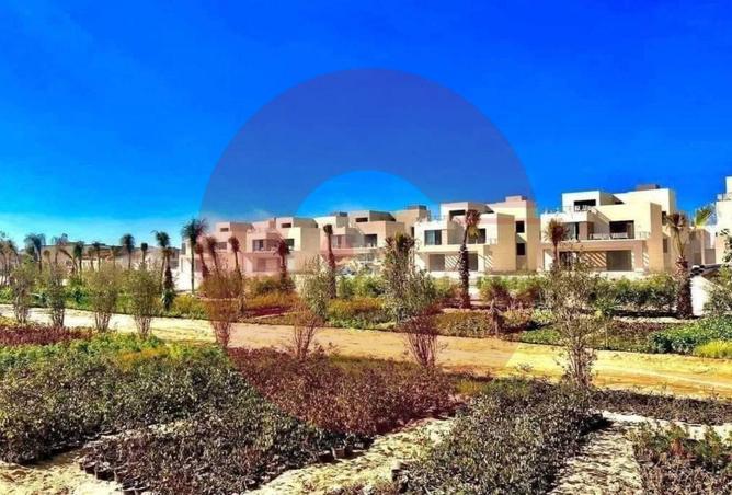 8250807 - Property Image 3