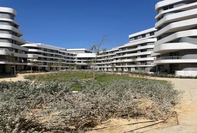 8248058 - صورة العقار 3