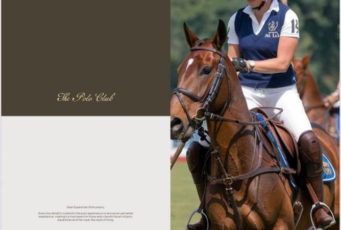 8209685 - صورة العقار 2