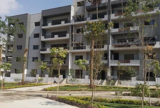 8211643 - Property Image 3