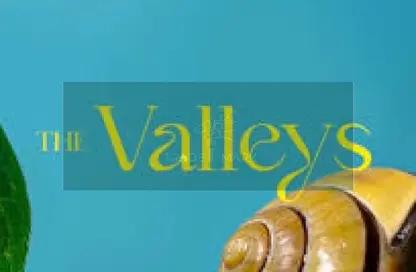 Villa - 4 Bedrooms - 4 Bathrooms for sale in The Valleys - Mostakbal City - Future City - Cairo