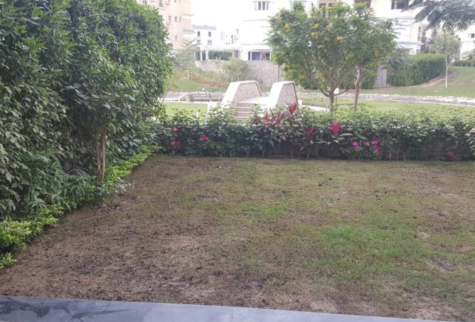 8093034 - صورة العقار 2