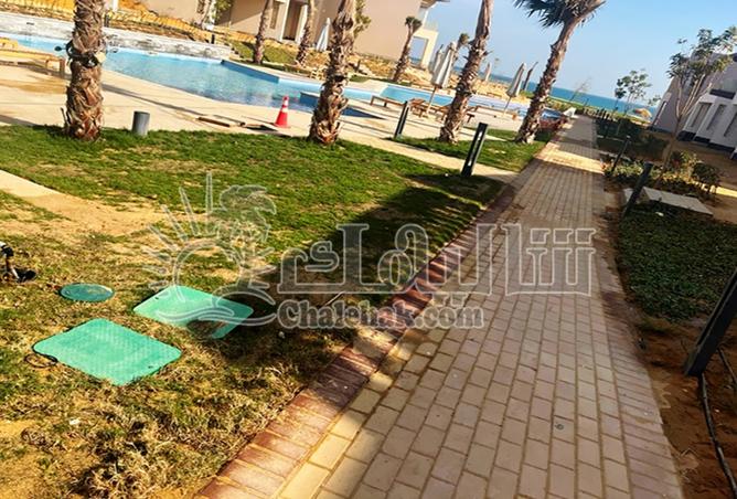 8087721 - صورة العقار 3