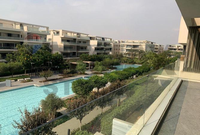 8276281 - Property Image 3