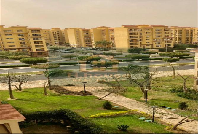 7986183 - صورة العقار 2