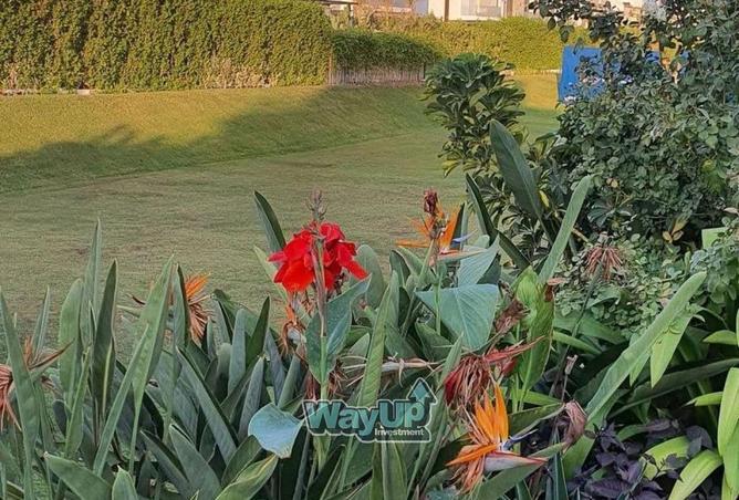 8427495 - Property Image 3