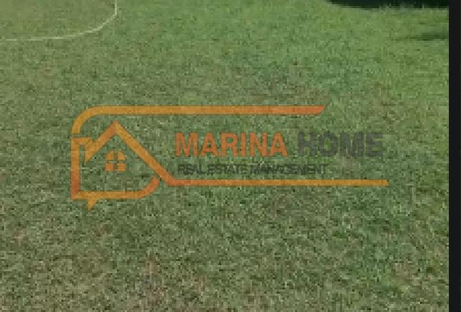 7951895 - Property Image 3