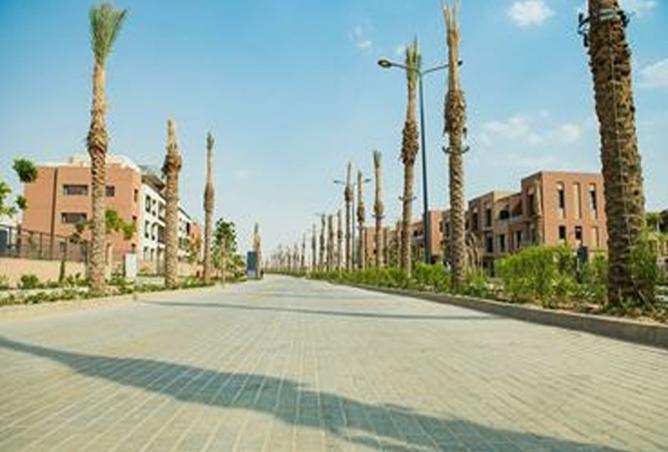 8385047 - Property Image 3