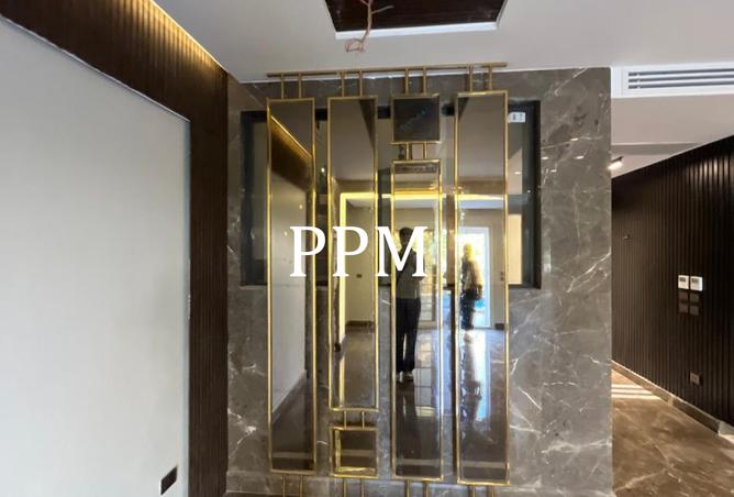 8459916 - Property Image 3